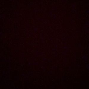 Meet your Posher, Isaac